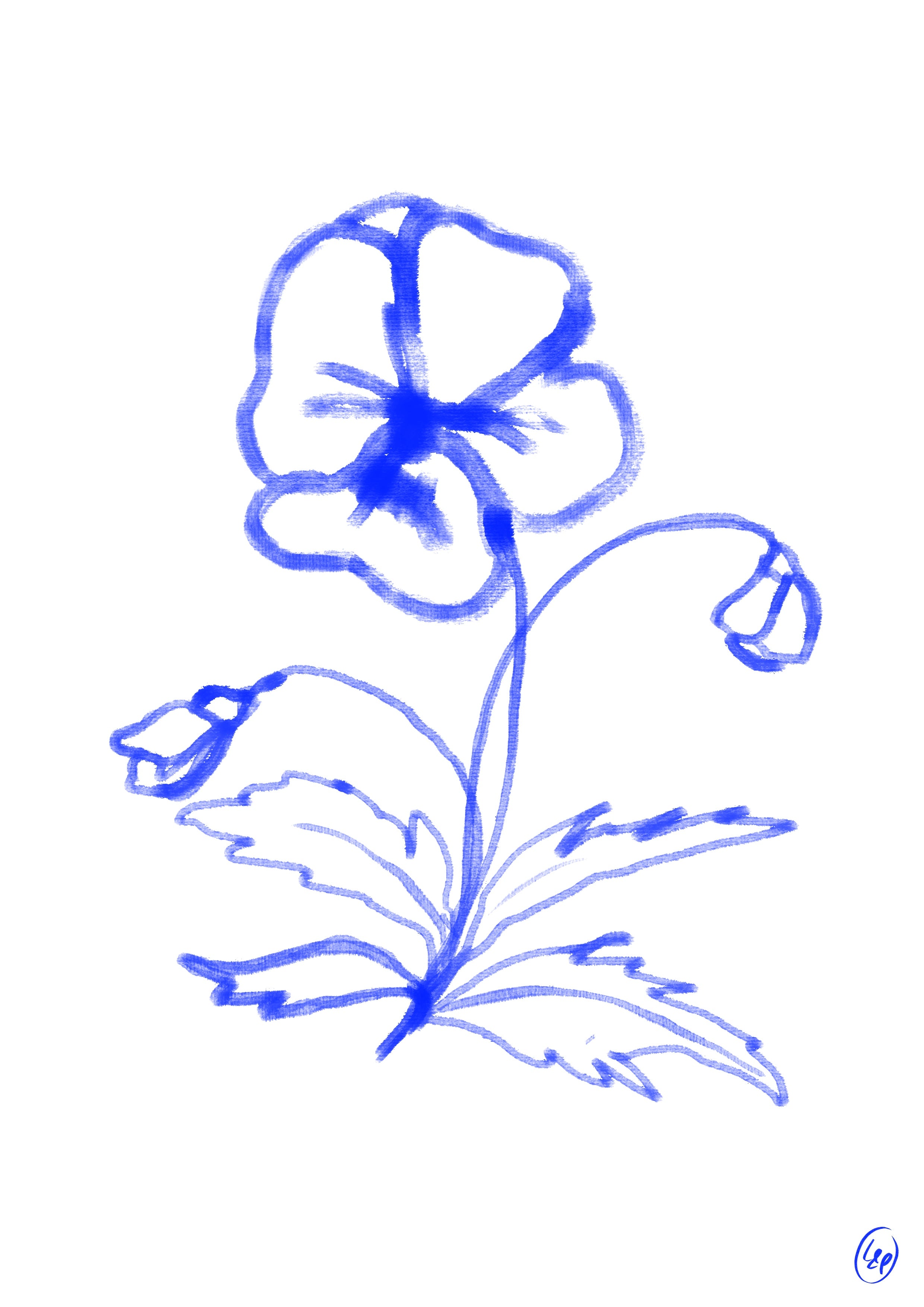 "Blue Flower" A4 print