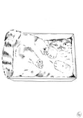 "Cat in a box" A4 print