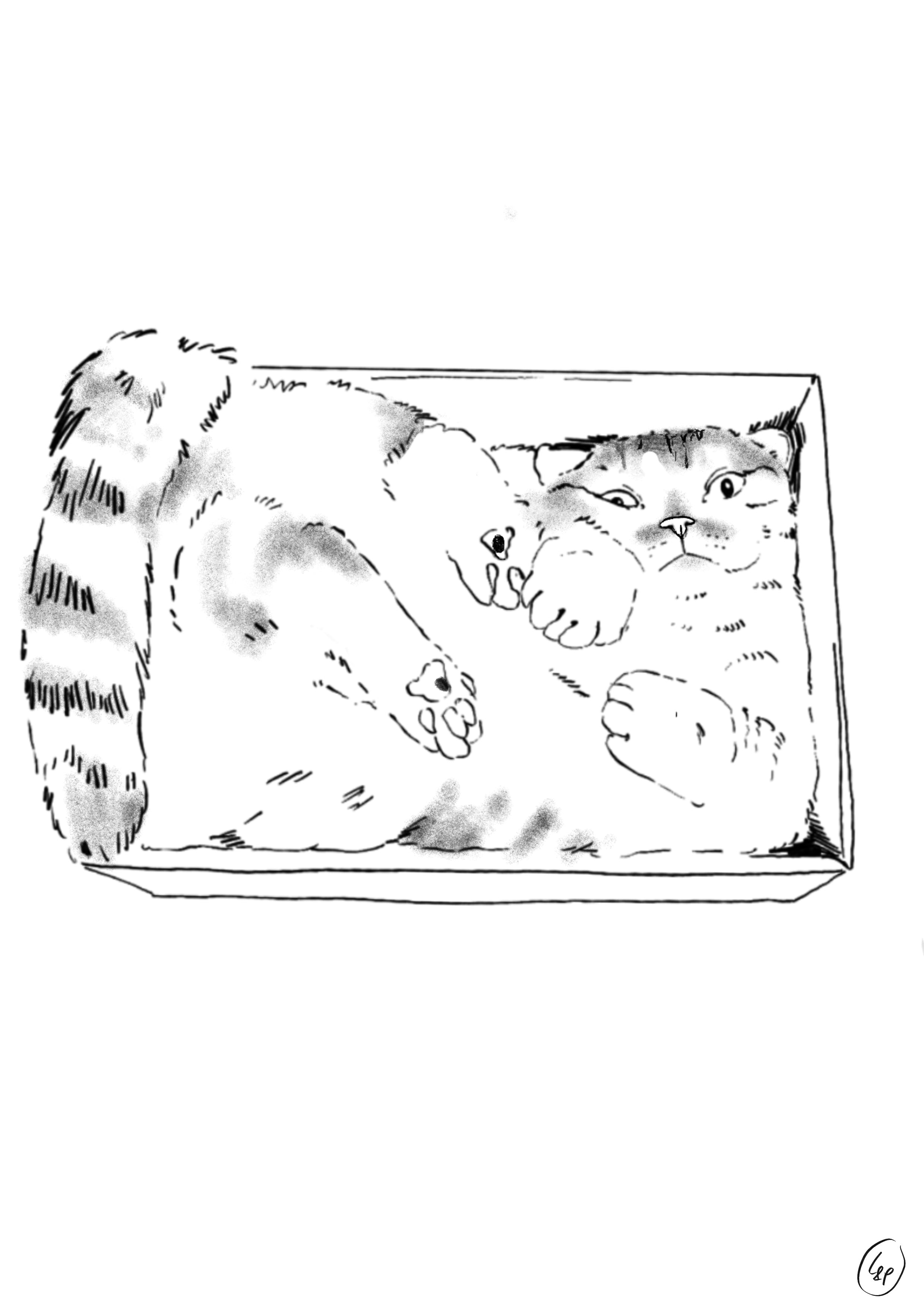 "Cat in a box" A4 print